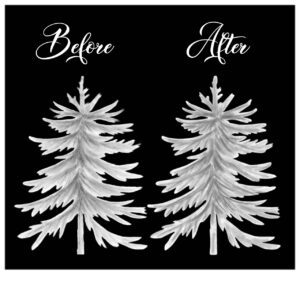 IMG 20211222 WA0059 2